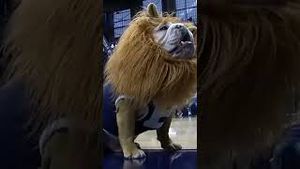 Video post by @foxsports on YouTube