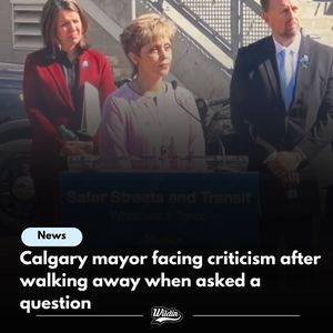 Image post by @calgary.wildin on Instagram