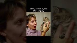 Video post by @discoveryplus on YouTube