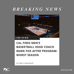 Image post by @dailycalsports on Instagram
