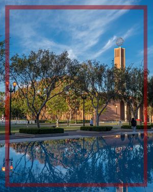 Image post by @uscdornsife on Instagram