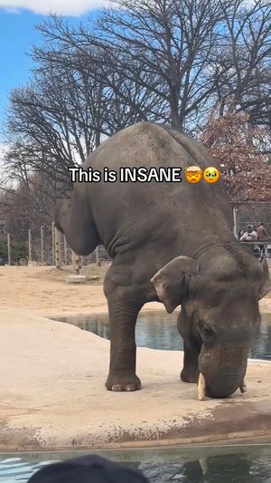 Video post by @complex on TikTok