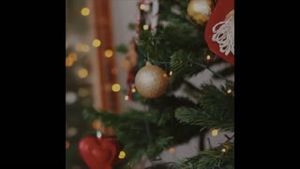 Video post by @TurnerPestControl on Facebook