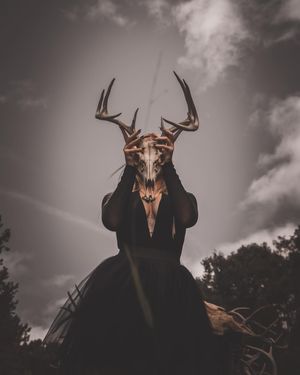 Image post by @darkhillsmedia on Instagram