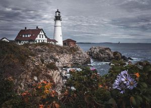 Image post by @canonusa on Instagram