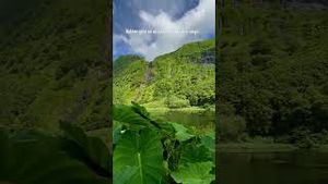 Video post by @thepointsguyarrivals on YouTube