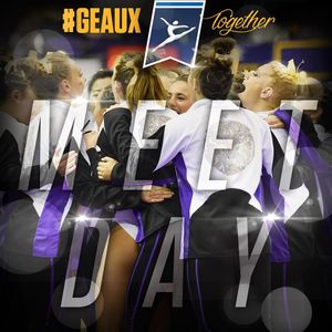 Image post by @lsugym on Instagram