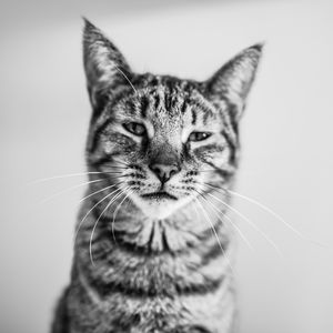 Image post by @jamie.wagasky on Instagram