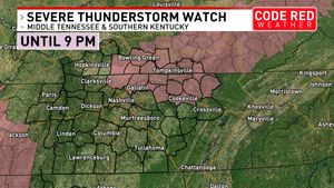 Image post by @foxnashville on Instagram