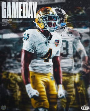 Image post by @WeAreNDFans on Twitter