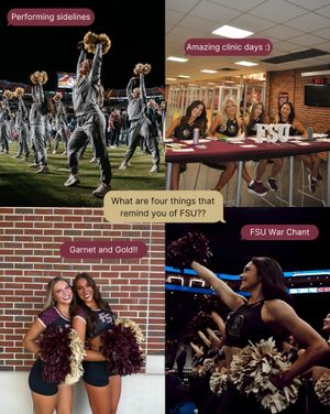Image post by @fsugoldengirls on Instagram