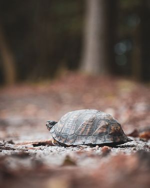 Image post by @throughcollinseyes on Instagram