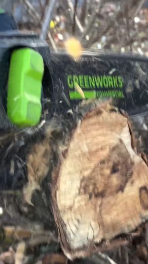 Video post by @greenworkscommercial on Facebook