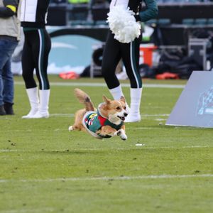 Image post by @littlestumpsracing on Instagram