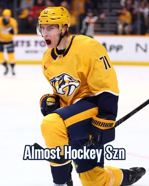 Image post by @predsnhl on Instagram