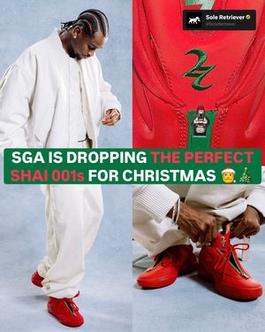 Image post by @soleretriever on Instagram