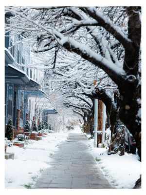 Image post by @_1legacy_ on Instagram