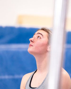 Image post by @ballstategym on Instagram