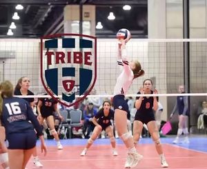 Image post by @mytribevolleyball on Instagram