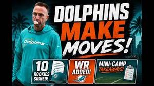 Video post by @dolphinstalk on YouTube