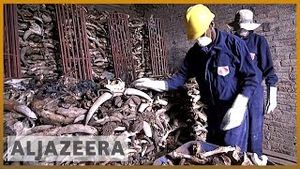 Video post by @Al Jazeera English on YouTube