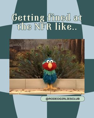 Video post by @rodeogirliesclub on TikTok