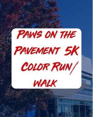 Image post by @csupueblo_rec on Instagram