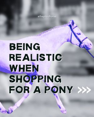 Image post by @theplaidhorsemag on Instagram