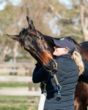 Image post by @godolphin on Instagram