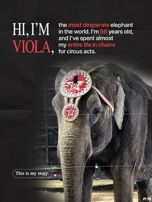 Image post by @peta on Instagram
