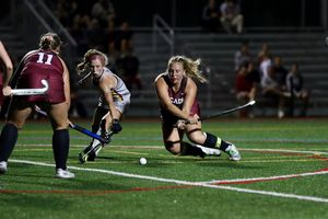 Image post by @arcadia_knights on Instagram