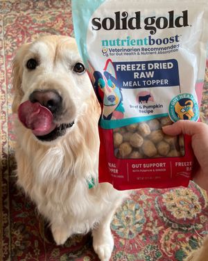 Image post by @solidgoldpets on Instagram