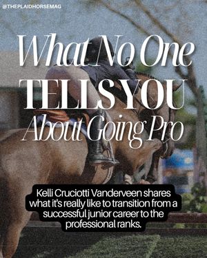 Image post by @theplaidhorsemag on Instagram