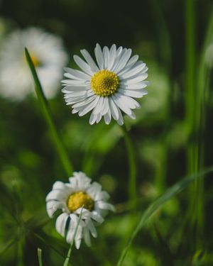 Image post by @meg.lahatte on Instagram