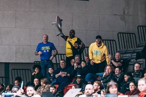 Image post by @atthebuzzeruk on Instagram