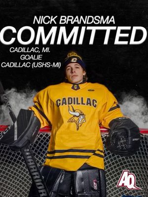 Image post by @aquinashockeycommitments on Instagram