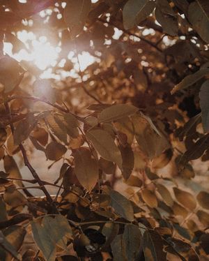 Image post by @kate.simple.life on Instagram