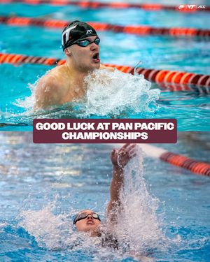 Image post by @hokiesswimdive on Instagram