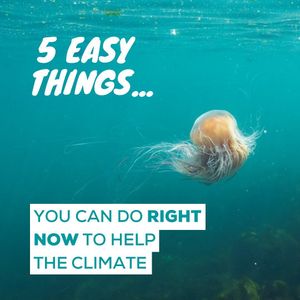 Image post by @rspb on Instagram