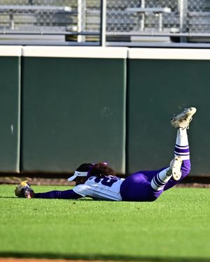 Image post by @lsusoftball on Instagram