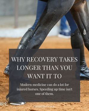 Image post by @theplaidhorsemag on Instagram