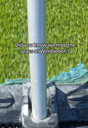 Video post by @wimbledon on TikTok