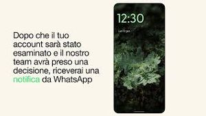 Video post by @whatsapp on YouTube