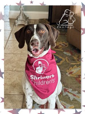 Image post by @shrinershospitals on Instagram