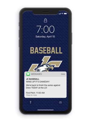 Image post by @JuniataBaseball on Twitter