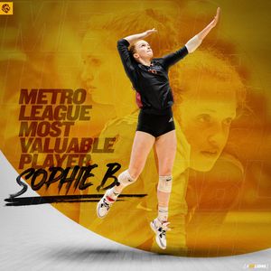 Image post by @LakesideLionsVB on Twitter