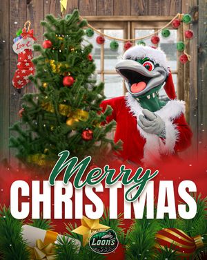 Image post by @greatlakesloons on Instagram