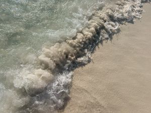 Image post by @alexandriawillard12 on Instagram