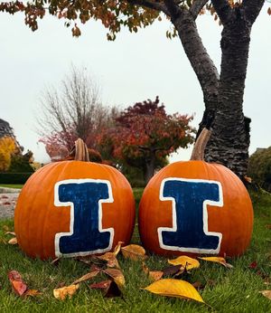 Image post by @illinois_alumni on Instagram