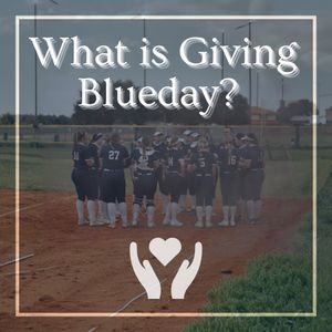 Image post by @umdearbornsoftball on Instagram
